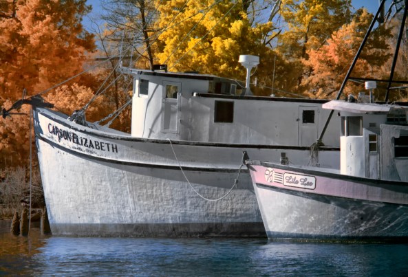 E-PL1 Full Spectrum 4730 Low Country 11