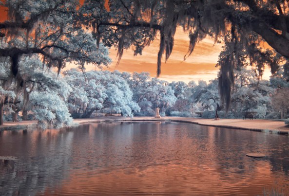 E-PL1 Full Spectrum 4832 630nm Brookgreen 11