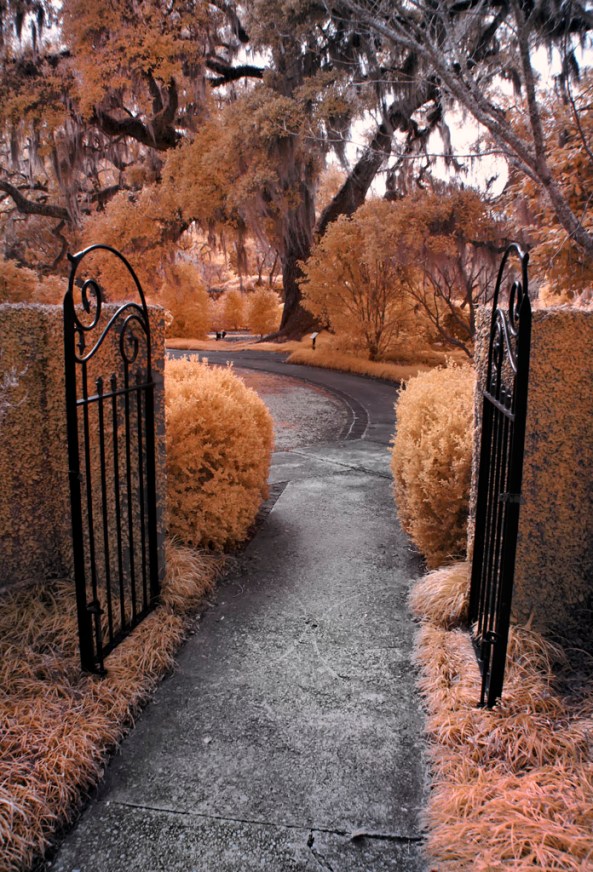 E-PL1 Full Spectrum 4838 630nm Brookgreen 11