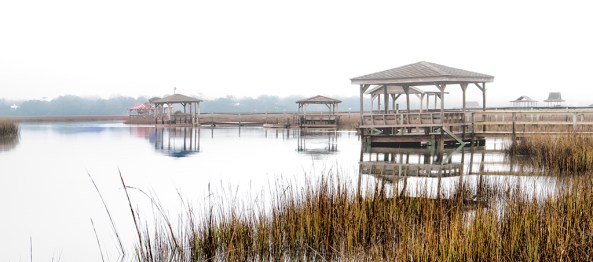 Salt Marsh in the fog...
