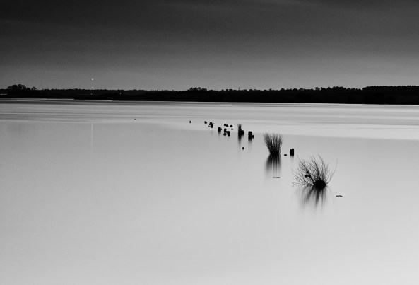 Boat Launch Pilings, Deep Twilight