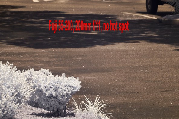 55-200mm @ 200mm, f/11 Bad hot spot, NO HOT SPOT