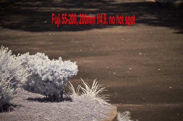 55-200mm @ 200mm, f/4.8 Bad hot spot, NO HOT SPOT
