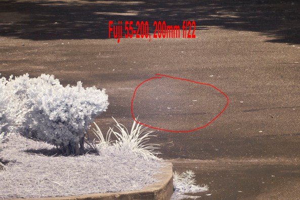 55-200mm @ 200mm, f/22 Bad hot spot, SMALL HOT SPOT