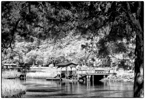 Pawleys Marsh, Fuji X Pro 1 720nm IR conversion w/ the new 55-200mm lens.