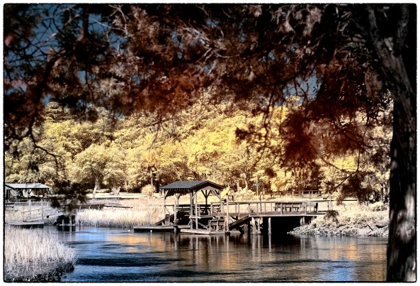 Pawleys Marsh, Fuji X Pro 1 720nm IR conversion w/ the new 55-200mm lens.
