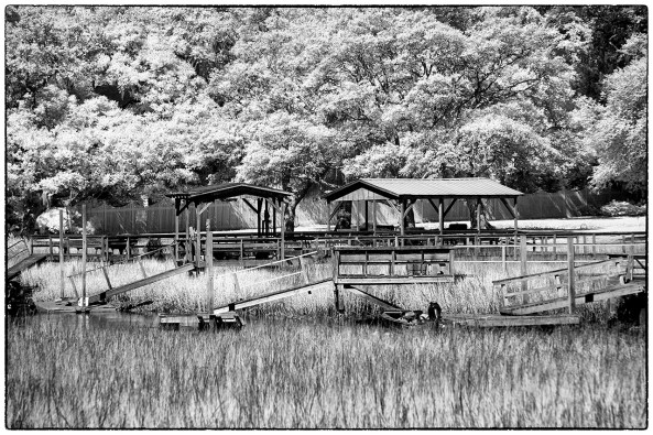 Pawleys Island Marsh, 200mm B&W Post Processing