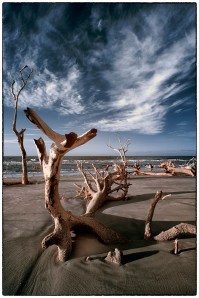 Step 2 Process the RAW image into Faux Color.