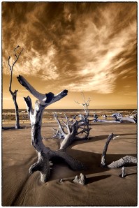 Step 1  Evaluate the RAW image to see it it stands on its own!