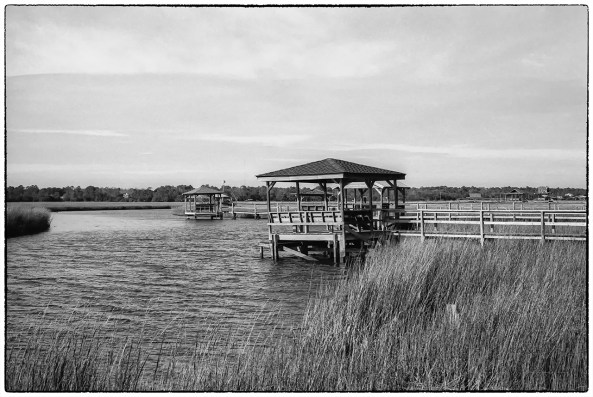 Rollei IR400 Film - M7 50mm Lux - Rodinal 1-50