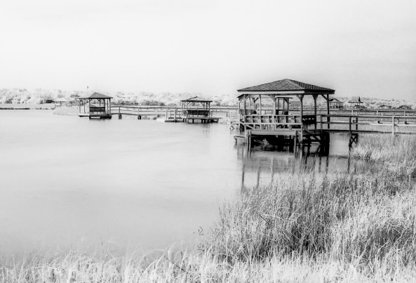 Rollei IR400 Film with R72 IR Filter - M7 50mm Lux - Rodinal 1-50