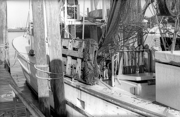 Eastman Double X Film - 1962 Petri 7S  - Rodinal 1-50