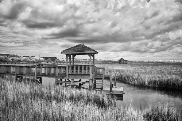 Pawleys Marsh, 830nm X100s