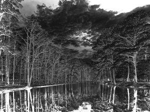 My CORRECTED Digital Negative for the Van Dyke Process