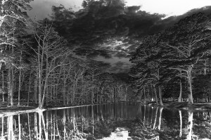 B&W Negative for Van Dyke Brown Print exposure calculated for 3 Min.