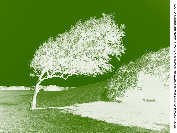 Green Negative for UV blocking.