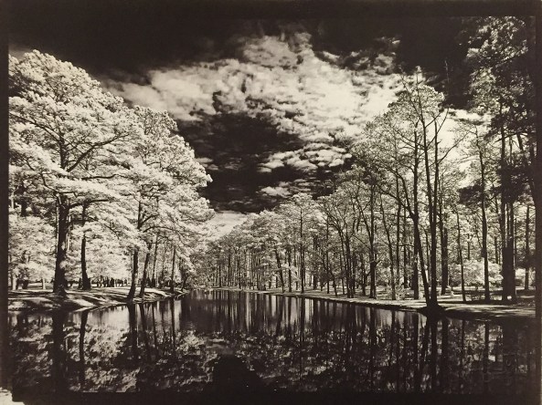 Gold Toned Van Dyke Brown Prints on  Lana Aquarelle 140lb HP  paper