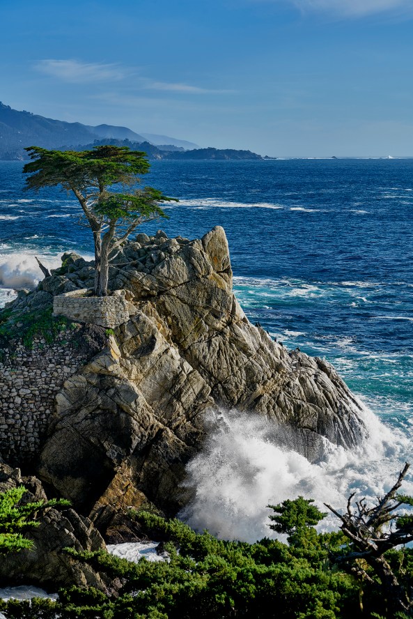 Lone Cyprus, 17 mile drive, Peeble Beach. Sony a7rii