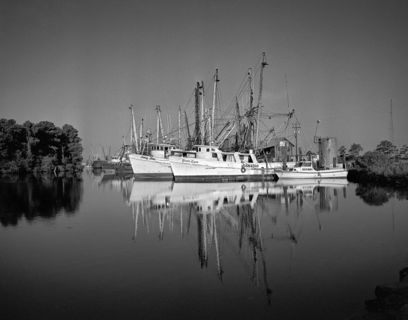 Voigtlander Bessa IIIw with Rollei IR400 120 