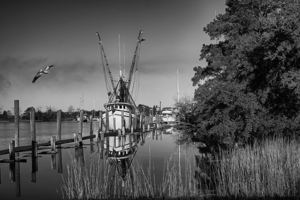 Miss Lulu, Georgetown, SC