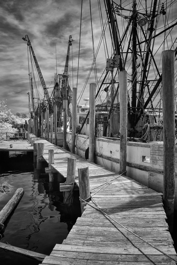 Fuji X100s, 850nm Kolari AR conversion - McClellanville Fleet