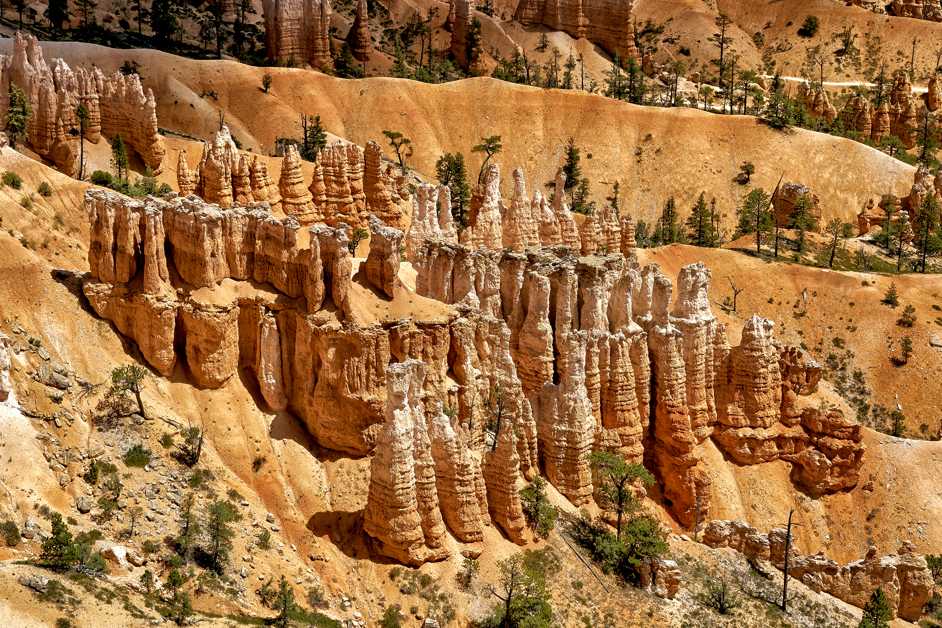 Whodos in Bryce Canyon