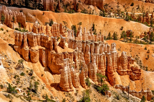 A6300-3886- S1_500-Whodos Bryce-2016 1 copy