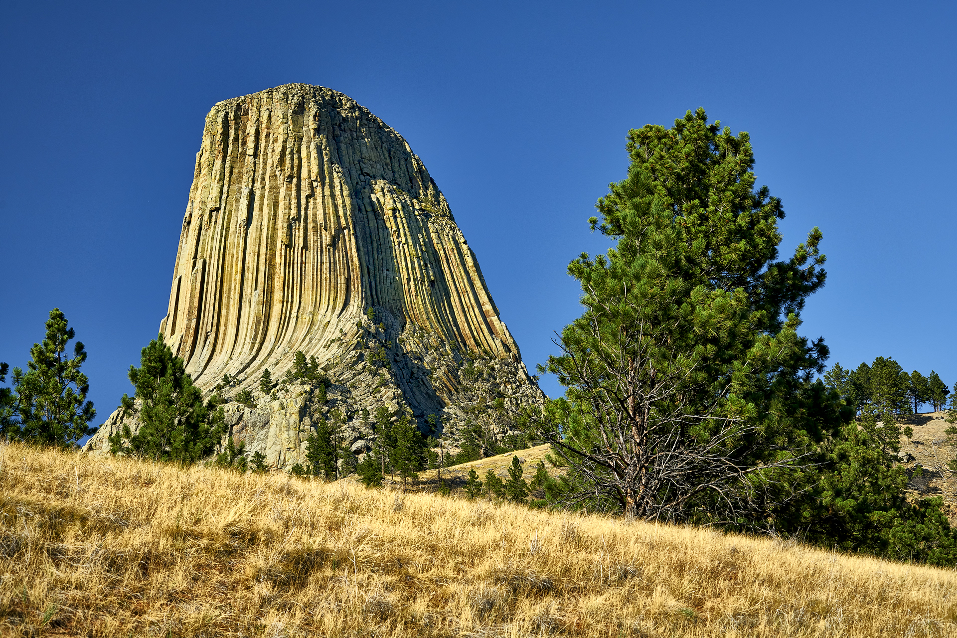Devils Tower