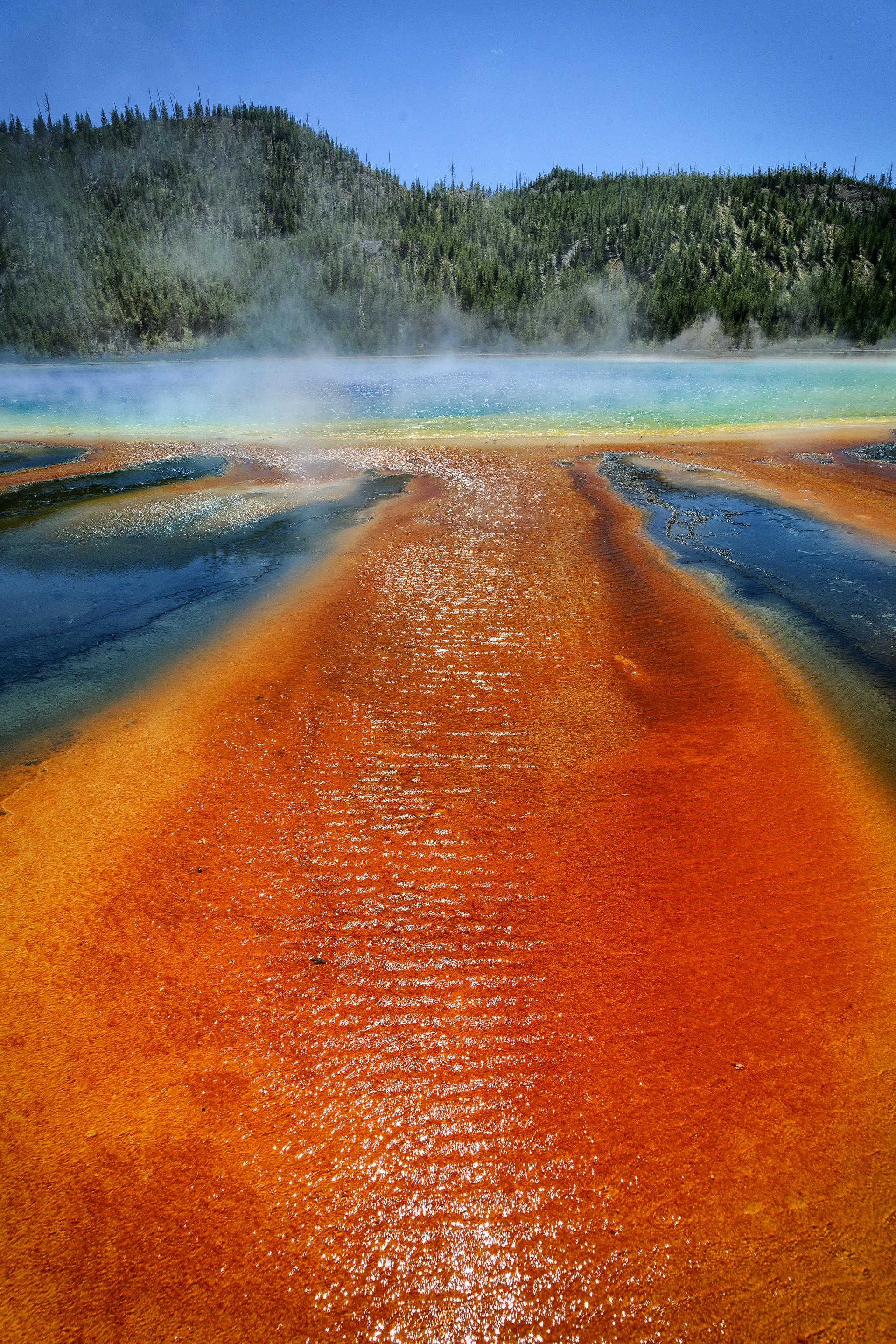 Prismatic Spring Yellowstone