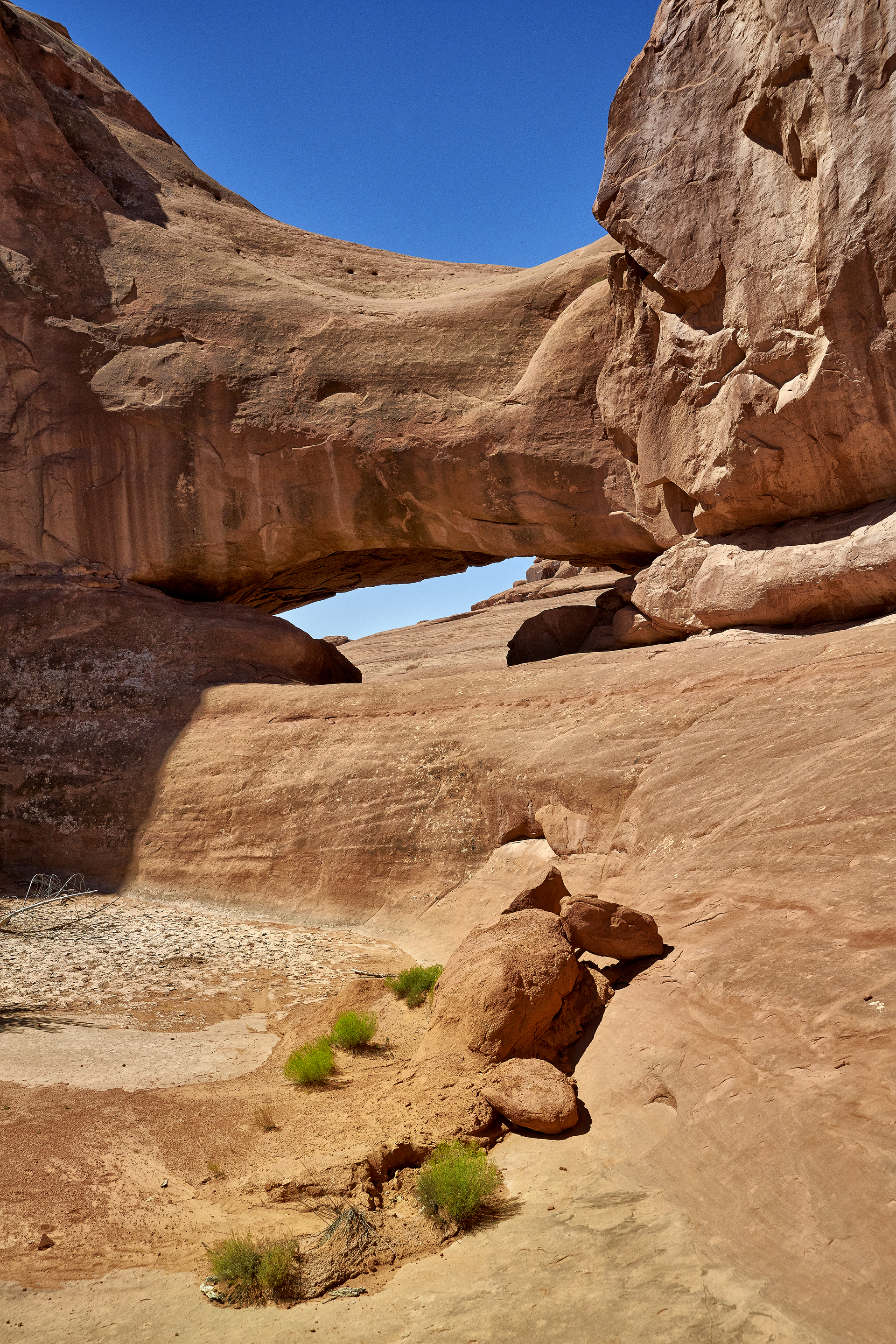 Whale Tail Arch, Backcountry Tour