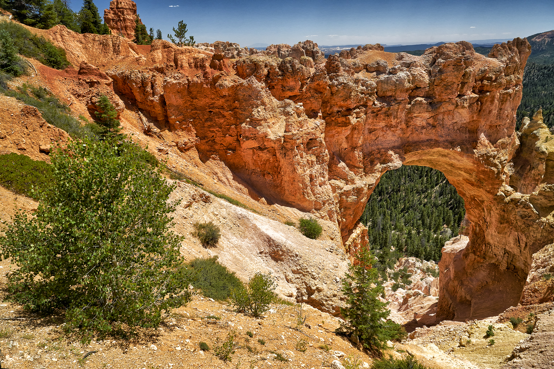 Natural Bridge Bryce 