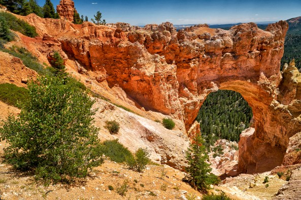 Natural Bridge Bryce 
