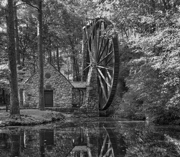 Polaroid 900, Tmax 100 4x5 @ 64, Perceptol