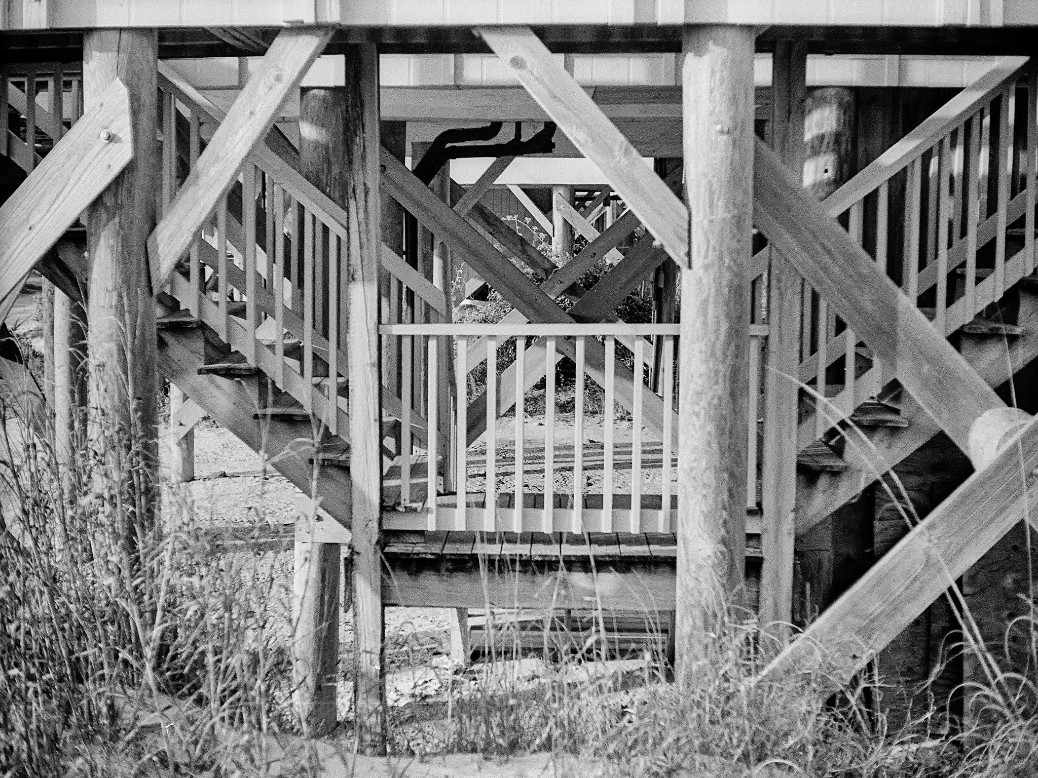 Confusion, Petri 7S 35mm, Eastman XX flim