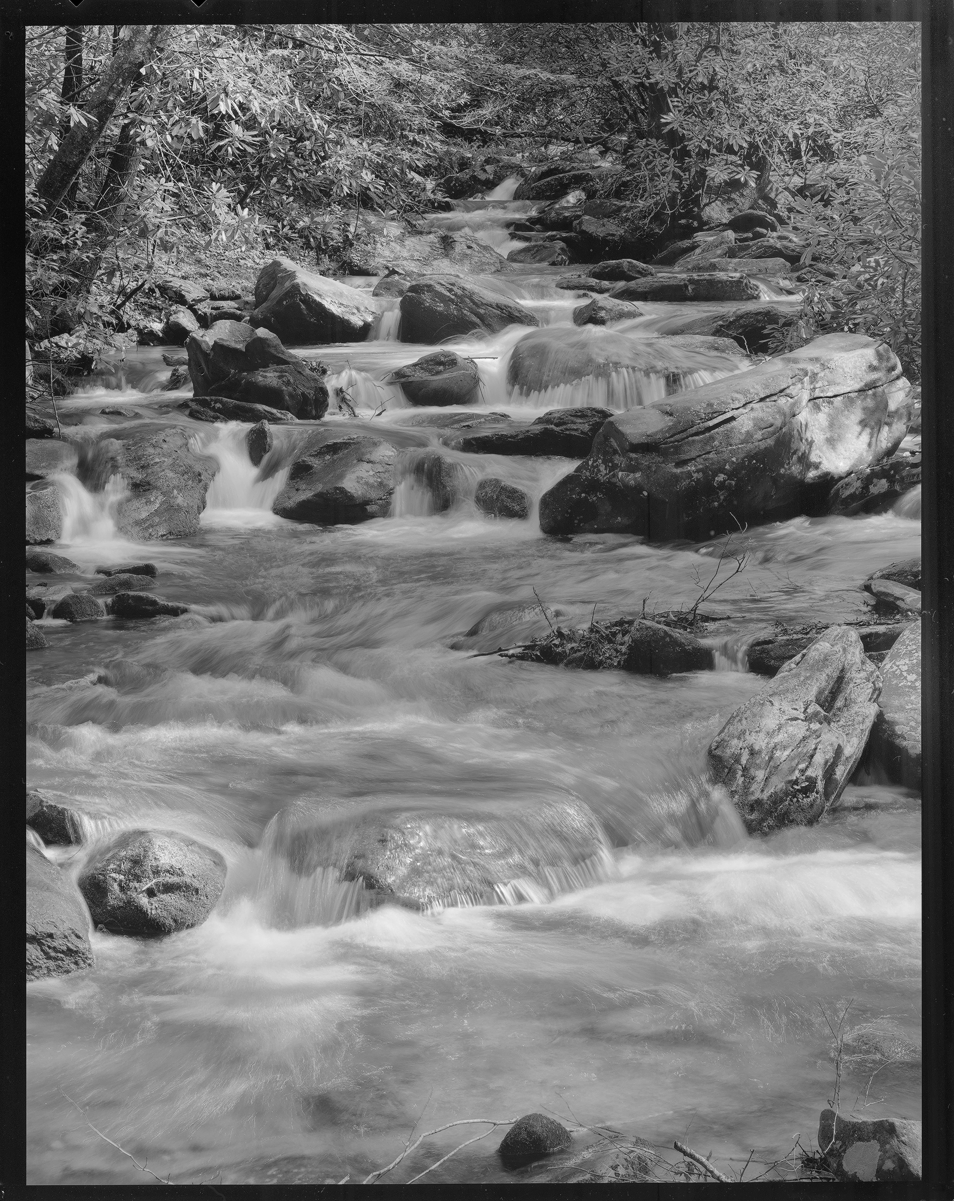 Focus Test - Epson Wet Adapter Across 100 Perceptol 1:2 Springmaid Pi