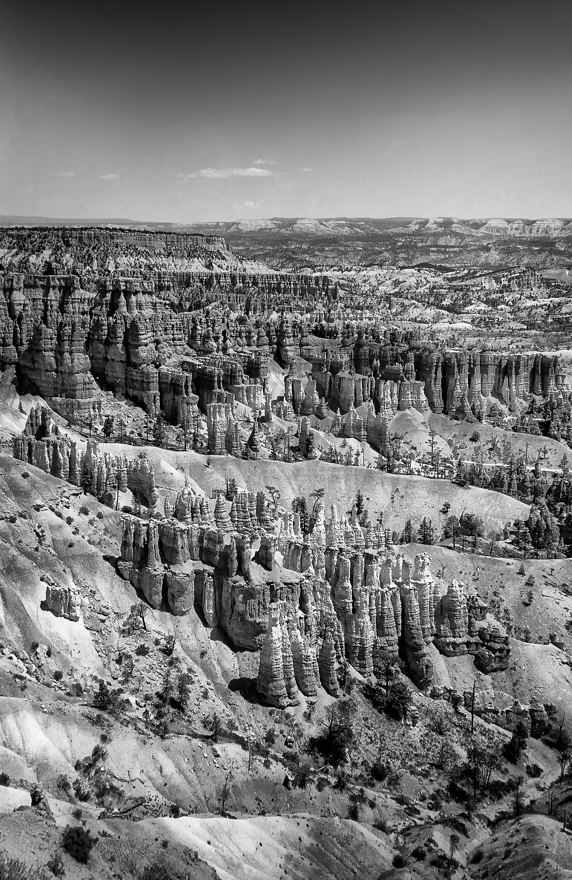 Hoodoos in Bryce National Park at the Sunset Point Overlook. Olympus XA with Kodak Tmax 100 film. This is MY defining image for my entire trip! 