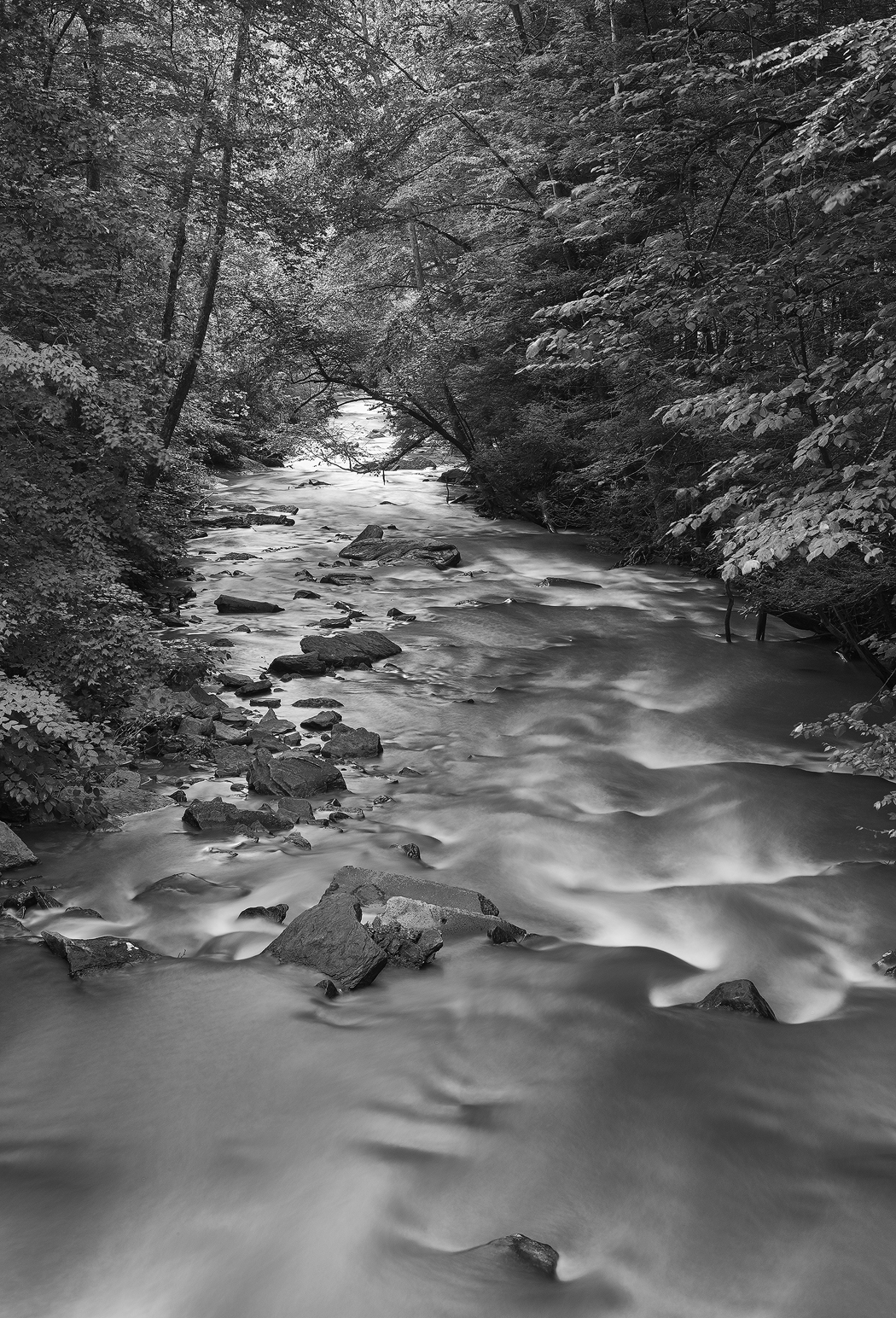Dunloupe Creek, New River Gorge WV, M Monochrome