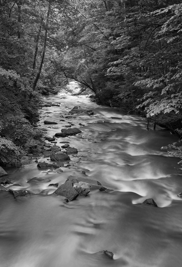 Dunloupe Creek, New River Gorge WV, M Monochrome